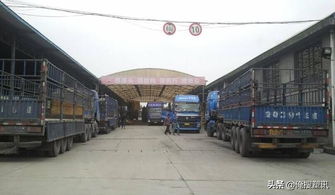 警惕！廢品運輸雷區(qū) 違規(guī)載貨最高罰十萬，安全合規(guī)方能行穩(wěn)致遠